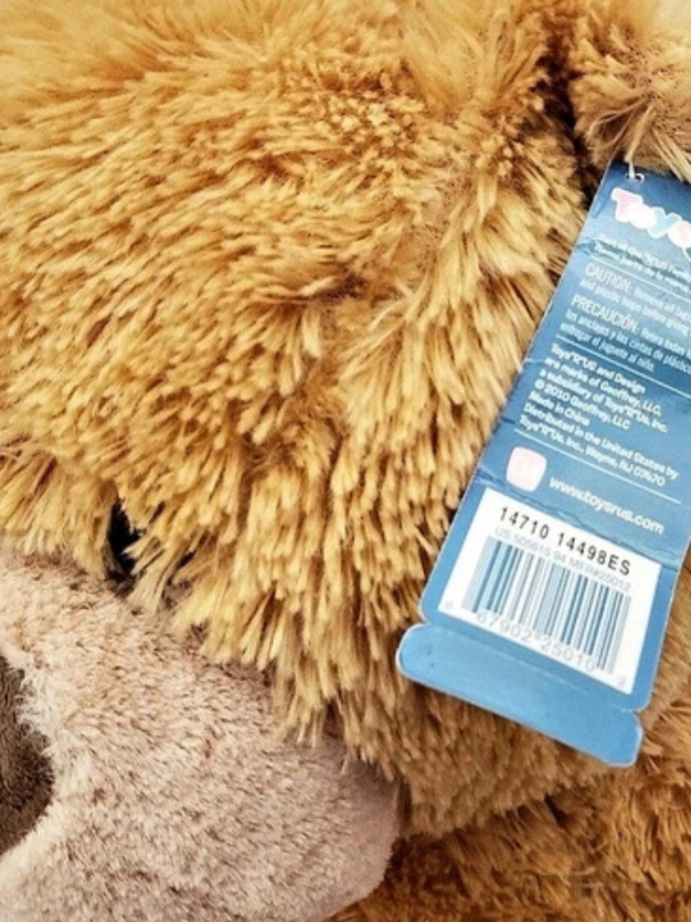 Toys R Us Riley Bear Large Plush- 2010- With Tag - Picture 4 of 4